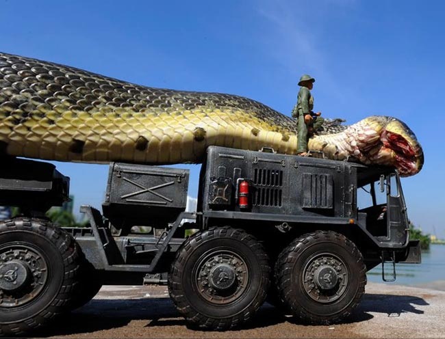 ماجرای شایعه ی کشف مـار غول پیکر در کرج! +عکس