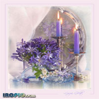 احادیث چهارده معصوم