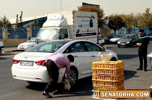 مرغ‌مالی ماشین‌های نو