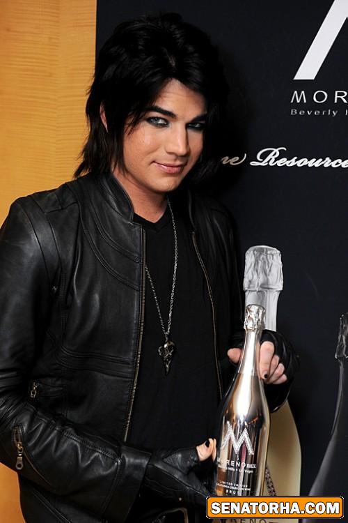 عکسهای باحال و خوشمل از آدام لمبرت adam lambert