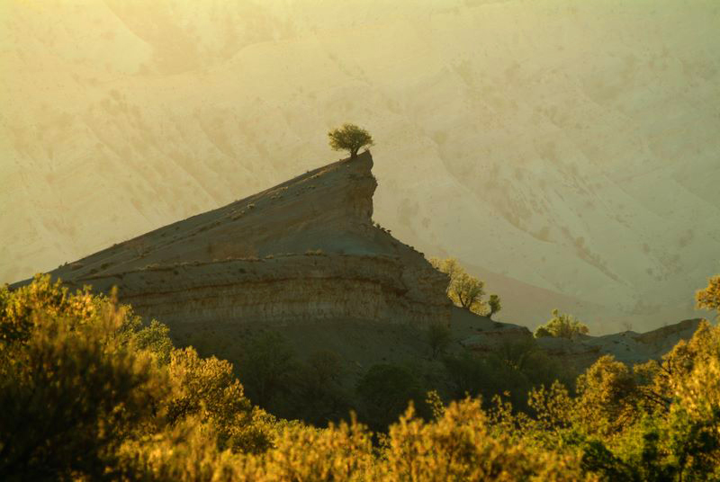 زیباترین عکس ها از طبیعت دل انگیز سراسر ایران