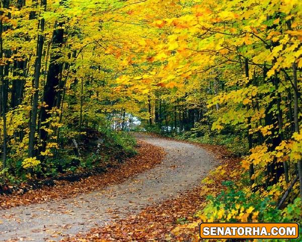 عكس هاي رمانتيك از فصل رويايي پاييز