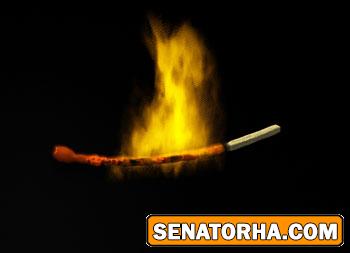 آشنایی با مراحل و مقدمات متحرک سازی توسط نرم افزار