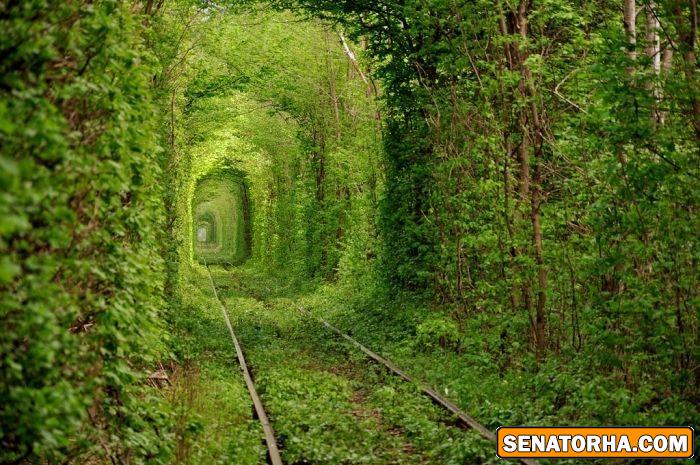 طبیعت زیبا(عکس)