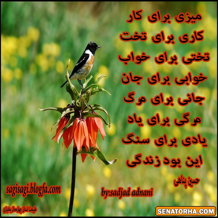 شعر از حسين پناهي