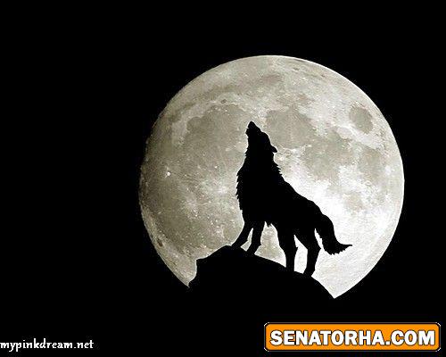 عكسهاي فانتزي از شب