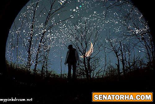 عكسهاي فانتزي از شب