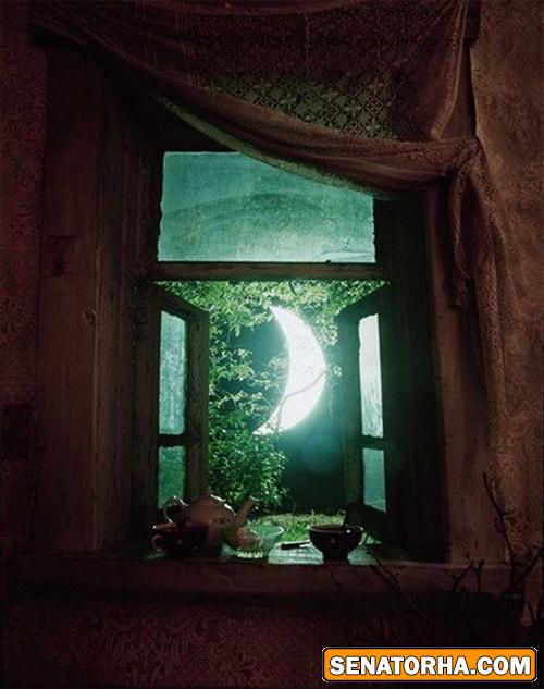 عكسهاي فانتزي از شب