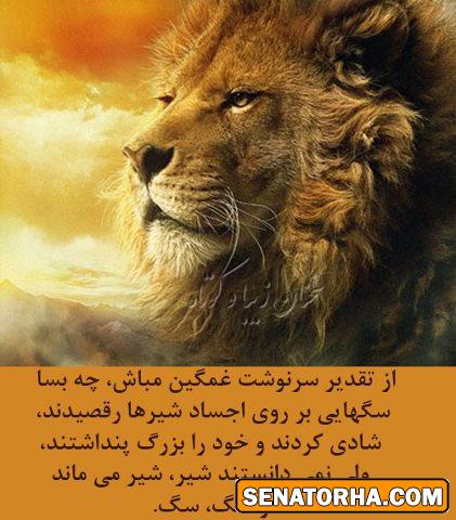 شیر هم شیرهای قدیم