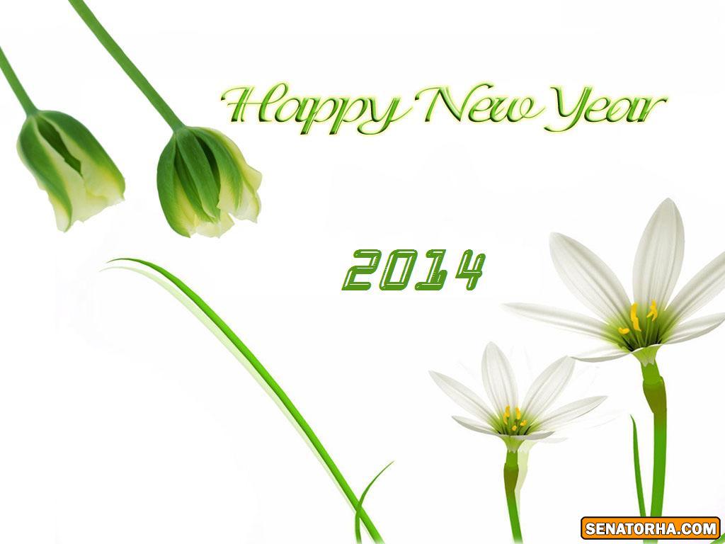 Happy New Year 2014 Wallpapers