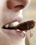 دانلود کتاب حشره خواری