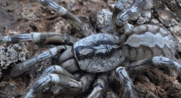 عکس: اگه مردی بیــــــــــا تو