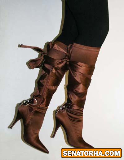 چکمه های مجلسی