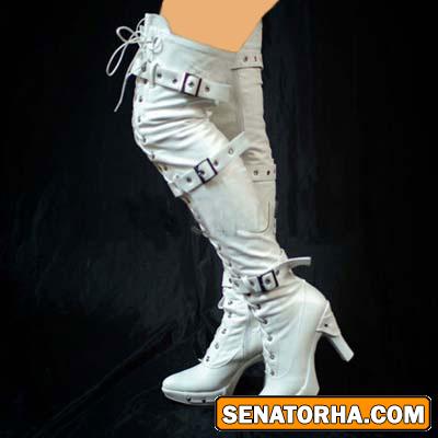 چکمه های مجلسی