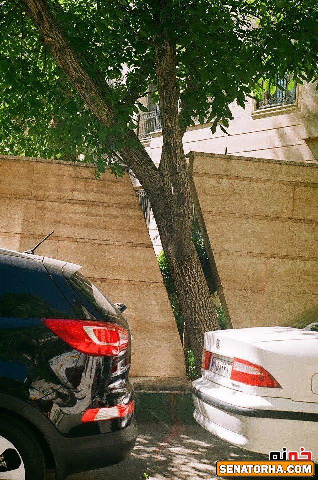 حرکتی بسیار عجیب در خیابان نیاوران تهران + عکس