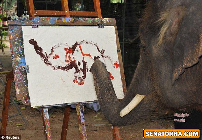 استعداد باورنکردنی یک فیل در نقاشی استعداد باورنکردنی یک فیل در نقاشی