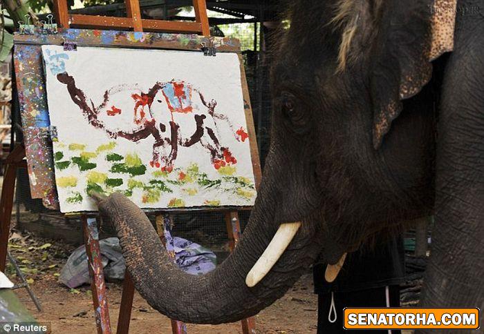 استعداد باورنکردنی یک فیل در نقاشی