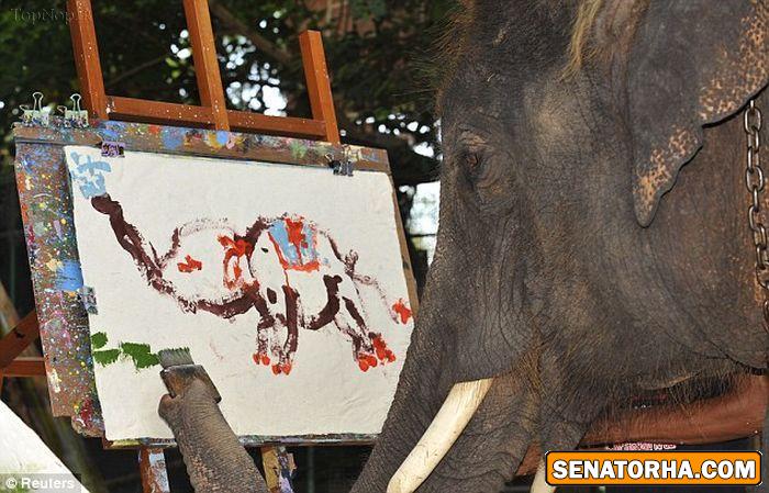 استعداد باورنکردنی یک فیل در نقاشی استعداد باورنکردنی یک فیل در نقاشی