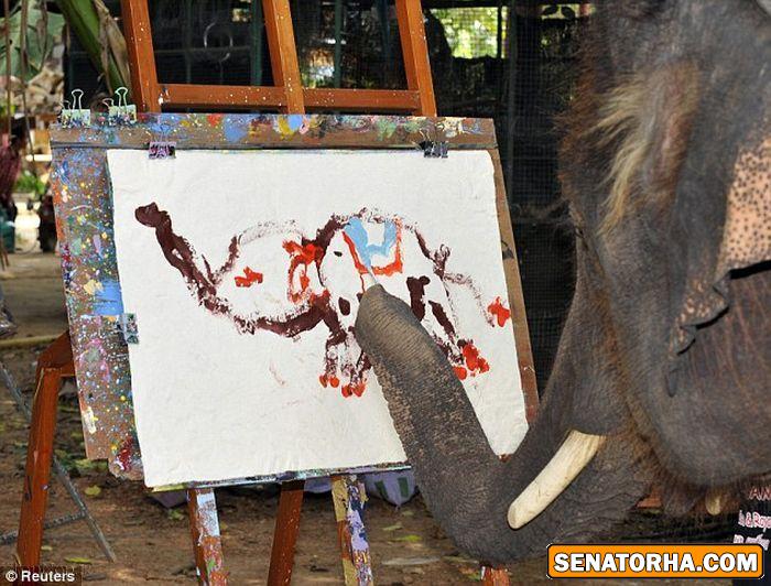 استعداد باورنکردنی یک فیل در نقاشی استعداد باورنکردنی یک فیل در نقاشی