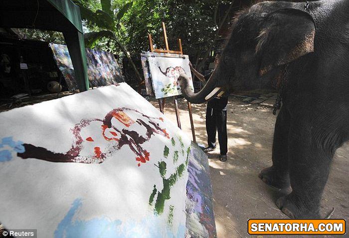 استعداد باورنکردنی یک فیل در نقاشی
