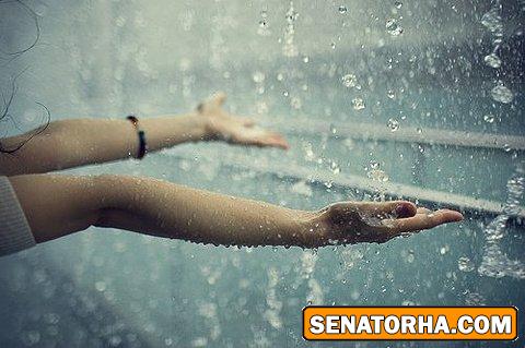 دلم هواي باران دارد  ...