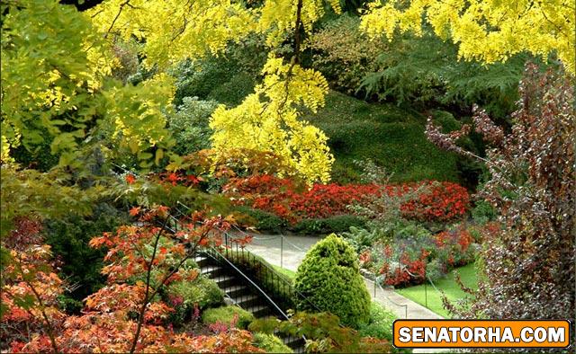 تصاویر زیباترین و بزرگترین باغ گل دنیا