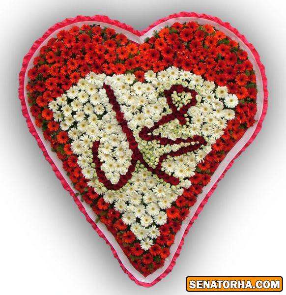 تصاویری به مناسبت میلاد پیامبر اکرم ( ص )