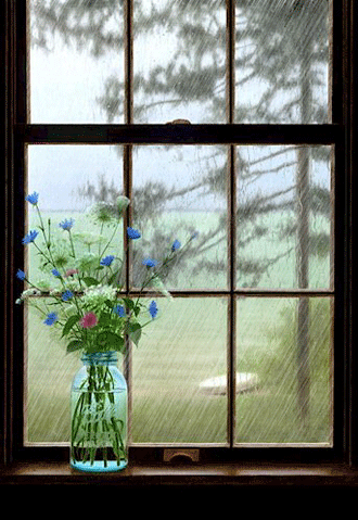 دلم هواي باران دارد ... دلم هواي باران دارد ...