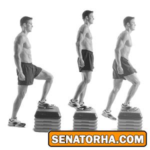 شکل دهی عالی عضلات باسن (کپل) و اطراف آن در زنان