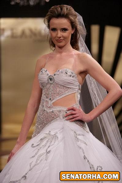 عكس مدل لباس عروس عربي