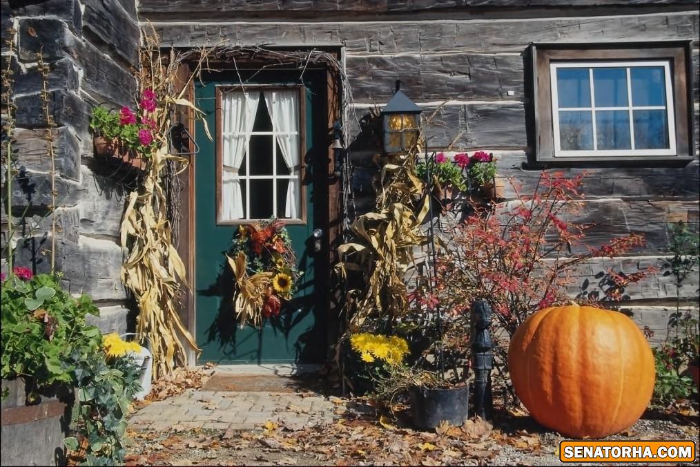 دوس داشتي خونت چه شكلي بود؟