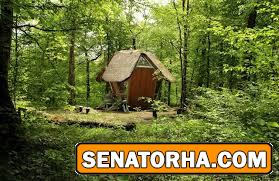 دوس داشتي خونت چه شكلي بود؟