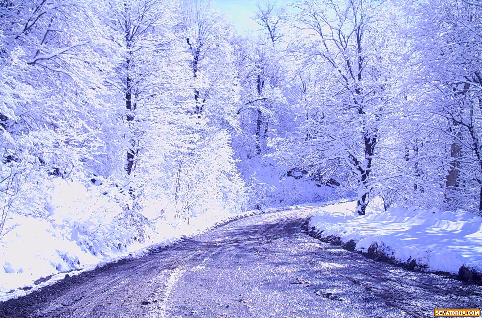 تصاویری از رامیان:نگین گلستان