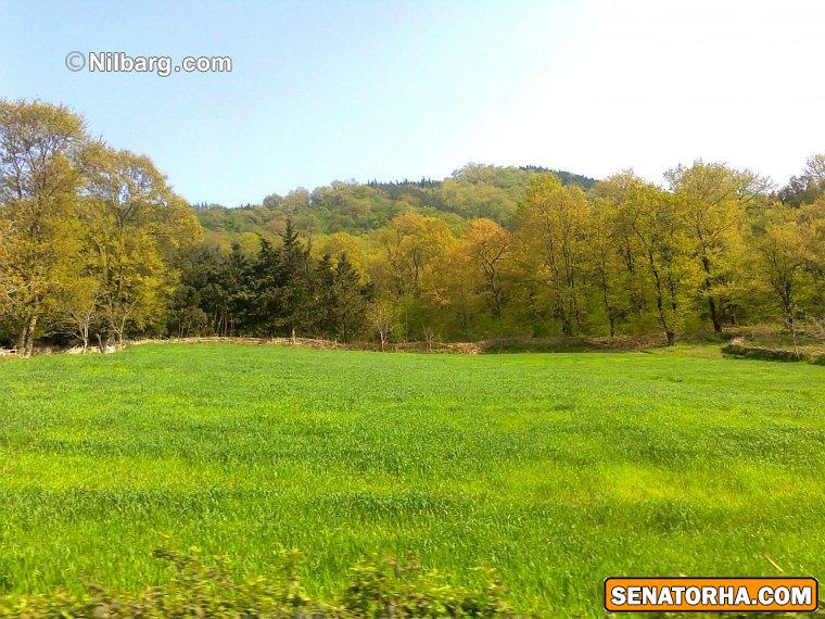 تصاویری از رامیان:نگین گلستان