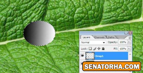 آموزش طراحی قطره آب در فتوشاپ