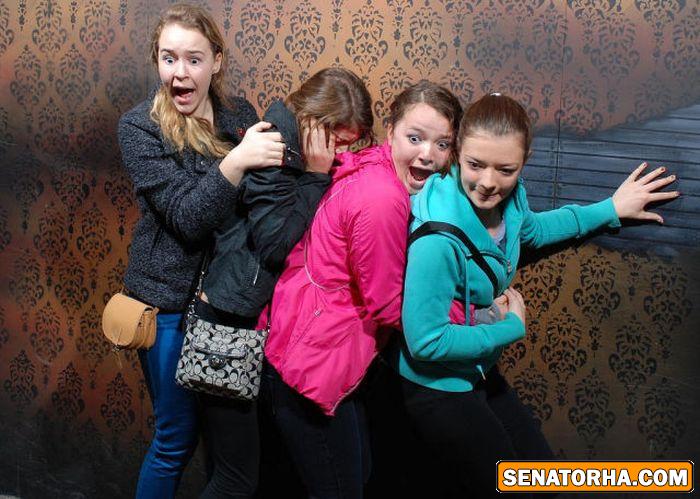 قیافه ادامها وقتی‌ خیلی ترسیده اند + تصاویر