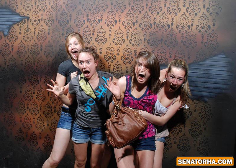 قیافه ادامها وقتی‌ خیلی ترسیده اند + تصاویر