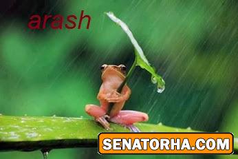 !عکسهای سناتوری  شاید عکس شماهم اینجا باشه اگه توی چت روم فرستادید (سری جدید وداغ)