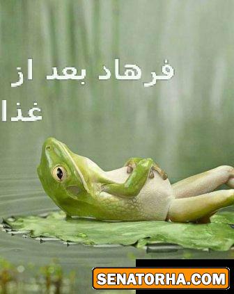 !عکسهای سناتوری  شاید عکس شماهم اینجا باشه اگه توی چت روم فرستادید (سری جدید وداغ)