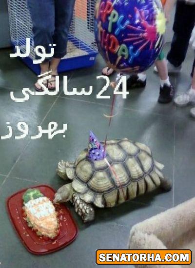 !عکسهای سناتوری  شاید عکس شماهم اینجا باشه اگه توی چت روم فرستادید (سری جدید وداغ)