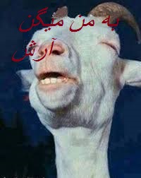 !عکسهای سناتوری  شاید عکس شماهم اینجا باشه اگه توی چت روم فرستادید (سری جدید وداغ)