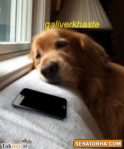 !عکسهای سناتوری  شاید عکس شماهم اینجا باشه اگه توی چت روم فرستادید (سری جدید وداغ)