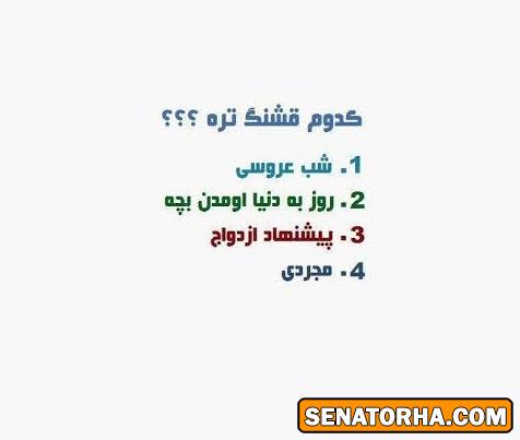 کدوم قشنگ تره؟؟جدید