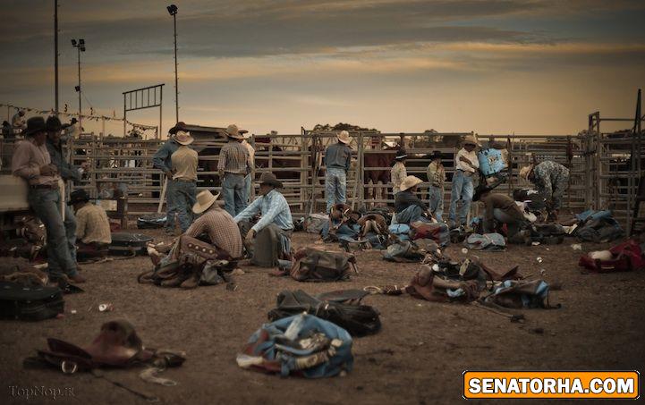 برگذیدگان مسابقات عکس سونی سال ۲۰۱۴