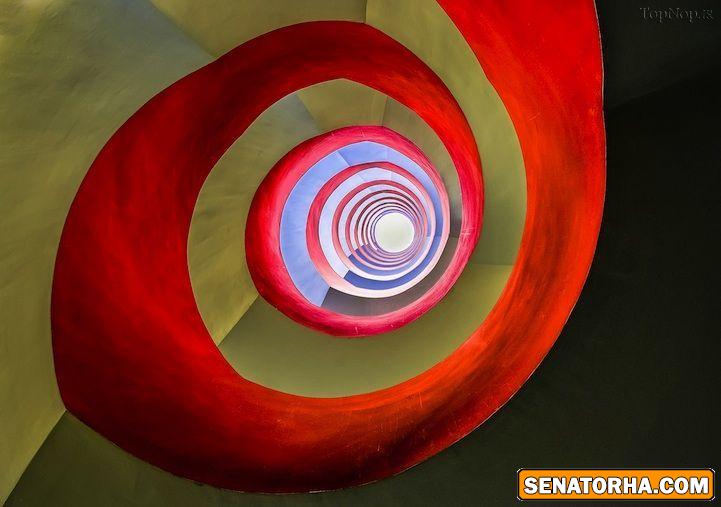 برگذیدگان مسابقات عکس سونی سال ۲۰۱۴