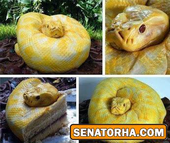 عکس ترسناکترین کیک دنیا