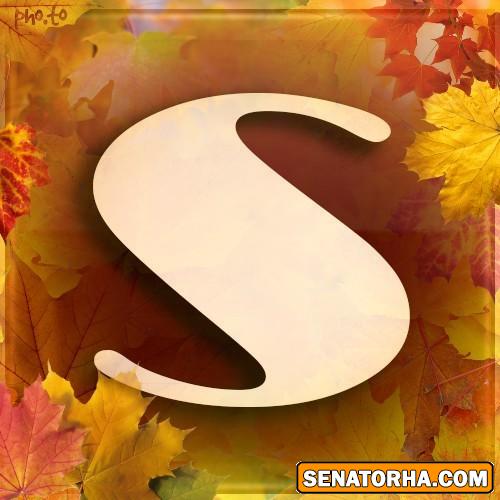 طراحیه زیبای* s * وب سایت سناتورها