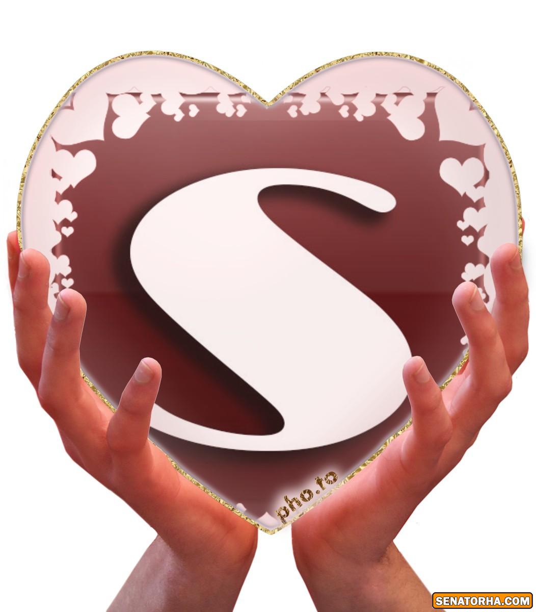 طراحیه زیبای* s * وب سایت سناتورها