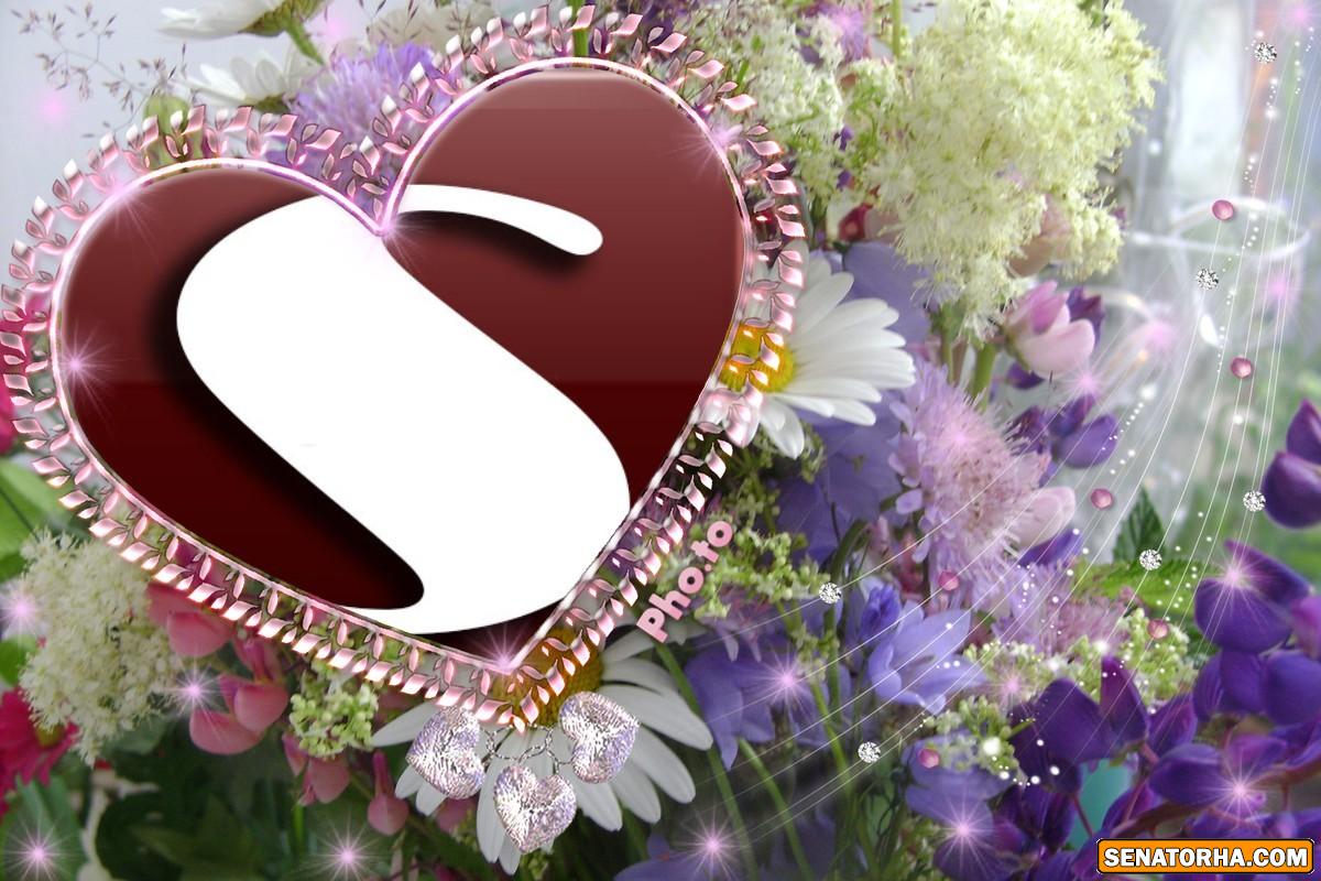 طراحیه زیبای* s * وب سایت سناتورها