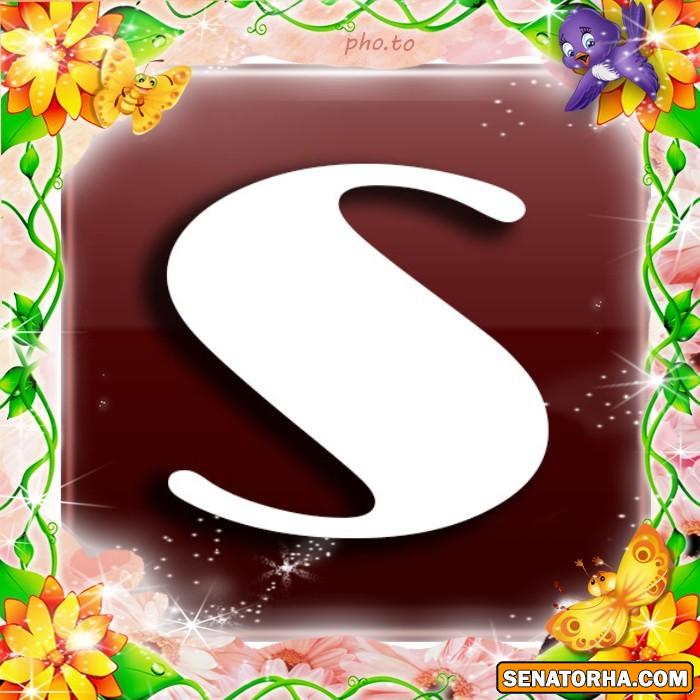 طراحیه زیبای* s * وب سایت سناتورها